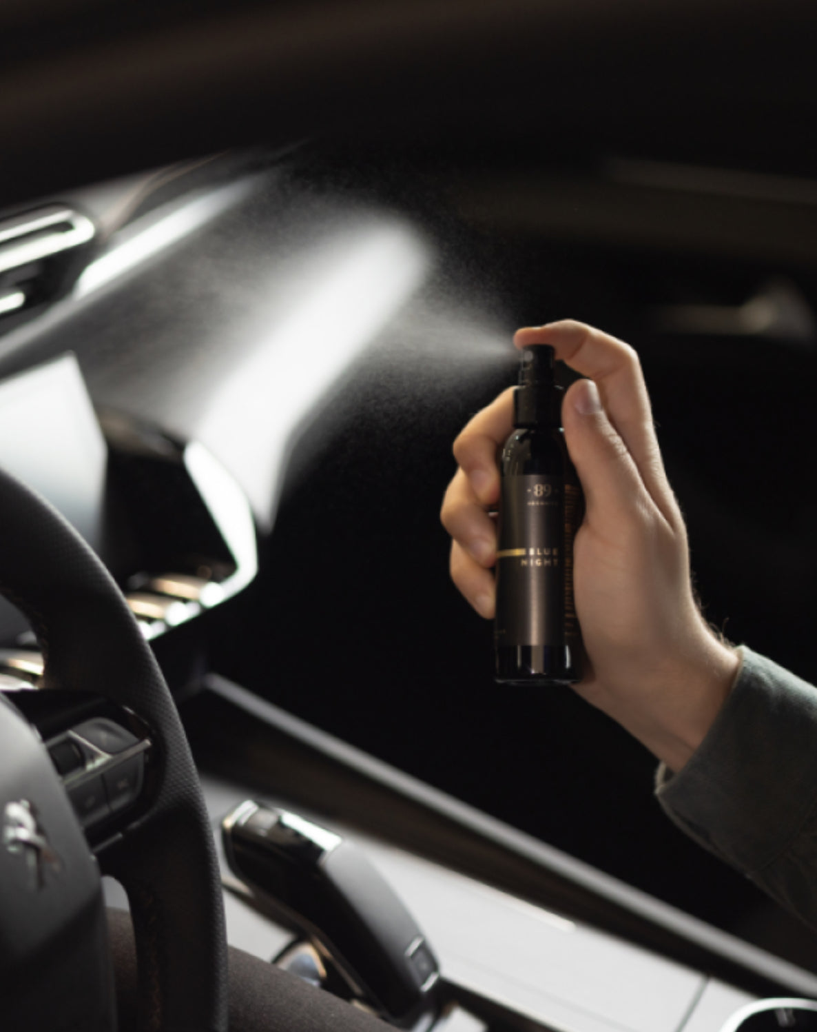 AUTOMAŠĪNAI: SMARŽU AEROSOLS 100ml
